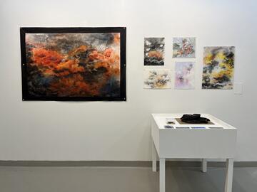 drawings, maps and artefacts on a wall and on a table in a gallery space