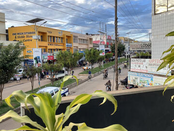 View from a balcony overlooking MUST campus with leafy green foliage in the bottom corner