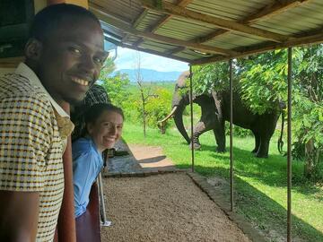UCalgary and MUST students lean out of a window on a safari tour, smiling as an elephant walks past