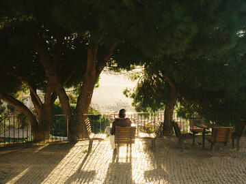 A treed view point with a shadow of a man sitting and gazing out