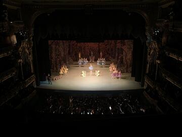 Ballerinas performing under a bright spotlight in a dark theater