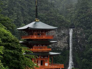 Japanese red and black temple nestled in a lush forest