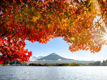 Mountain view framed by a blue lake and an orange-leaved tree