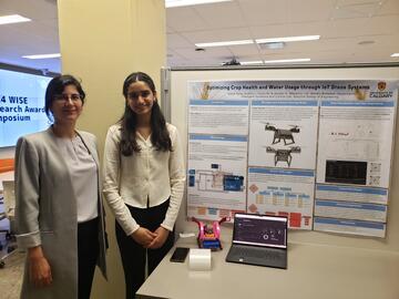 High School Student Mentoring - WISE