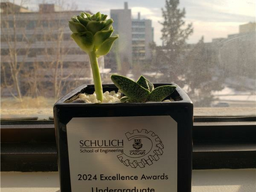 Undergraduate Training Award