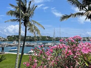 The palm trees and beaches of Bermuda