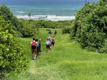Group trekking in greenery