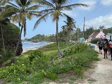 Group walking in Barbados