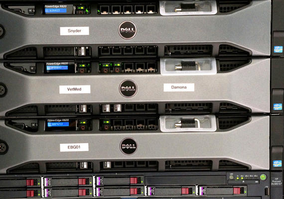 EBG servers