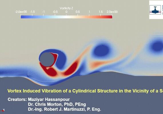 Vortex induced vibration on a cylinder near a scour