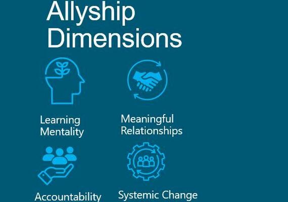 Allyship dimensions