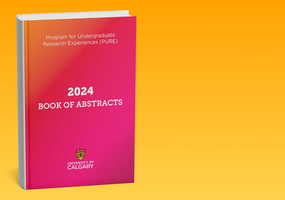 The 2024 Book of Abstracts for the Program for Undergraduate Research Experiences.