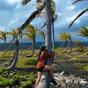 A woman stands beside a palm tree, with her arms and one leg wrapped around the trunk. The wind blows the palm leaves almost horizontally, and blows her long dark hair as well. Other palm trees and dark clouds fill the background.