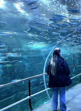 A woman stands with her back to the camera. She is in a glass tunnel in an aquarium, where swirling fish and deep blue water are visible through the glass.