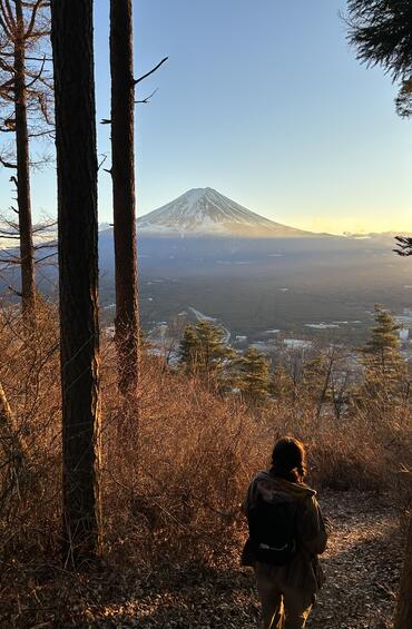 A person stands in silhouette on the edge of a forest, between several tall thin tree-trunks. They look out towards a snowy mountain peak in the distance. The scene is lit in warm golden light, as if the sun is setting.