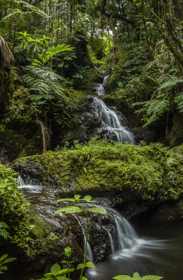 Lush green rainforest, with a large waterfall feeding into a second waterfall below it