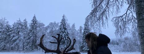 A woman bundled in a thick coat stands sideways to the camera, holding out her hand to feed a reindeer. The reindeer's head is angled to reach her hand and its antlers are almost as tall as the woman's head. The scene behind them is a snowy forest with blue tinted light.
