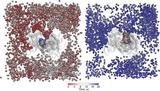 pgp_lipid_pathways