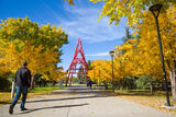 UCalgary campus in the Fall