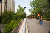 The University of Calgary campus.
