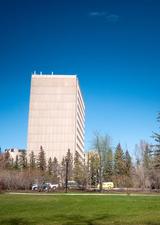 Social Science Tower in spring
