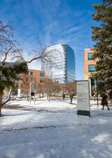 snowy walkway on main campus