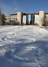 snowy MacEwan Hall