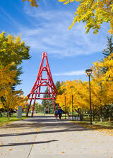 UCalgary campus