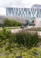 TFDL on main campus during summer