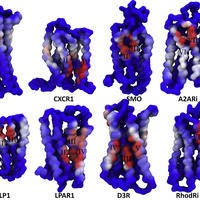 GPCR-BS