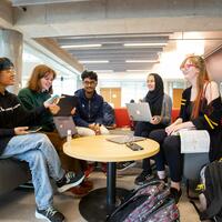 Students studying together