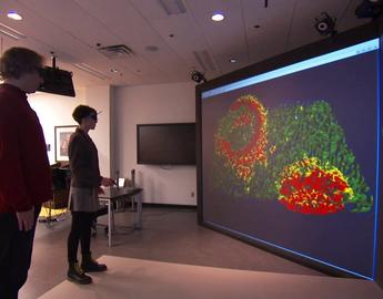 コンピュータ・IT Bioinformatics, Biocomputing and Perl Bioinformatics Capstone: Big Data in Biology | Coursera