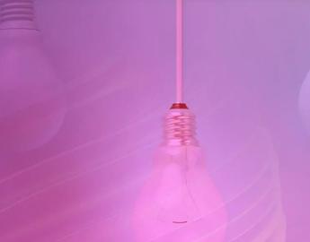 purple lightbulb