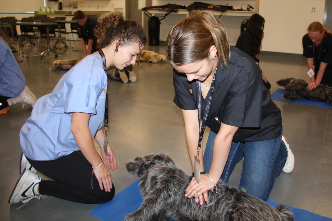 Two vet students practice CPR