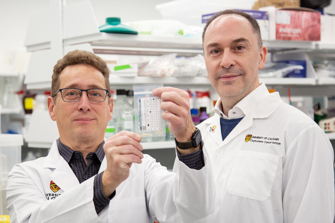 Two men in a lab